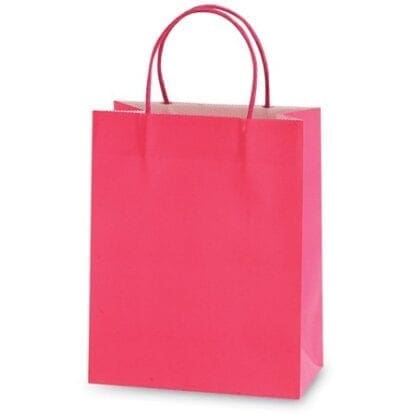 Pink Euro Medium Gift Bag Case Pack 60