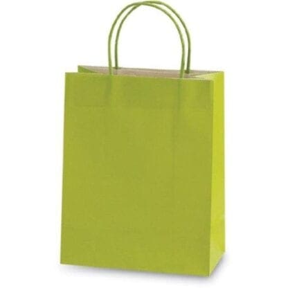 Flomo GB519L Large Lime Green Gift Bag, Case of 60