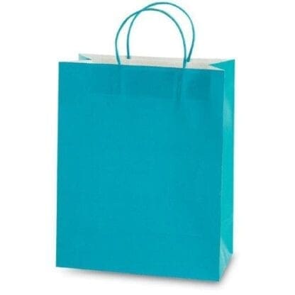 Wholesale Aqua Euro Medium Gift Bag(60x$0.83)