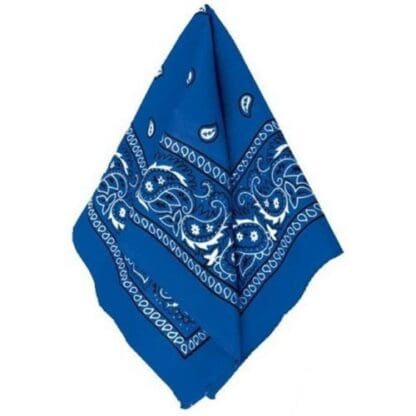 Blue Paisley Bandana, 20in X Royal/blue