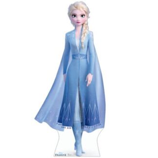 Elsa kleed best sale frozen 2