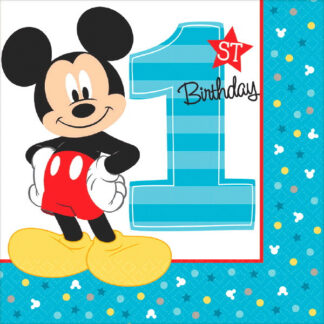 Mickeys 1st Birthday